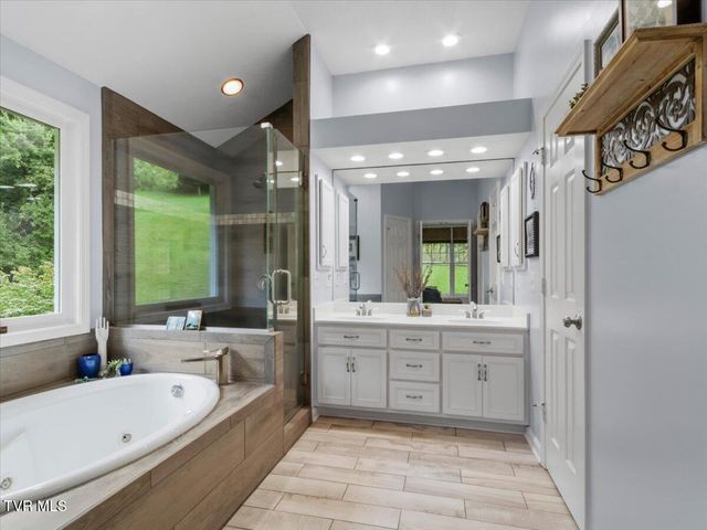 309 Roan Springs Lane, Roan Mountain, TN 37687