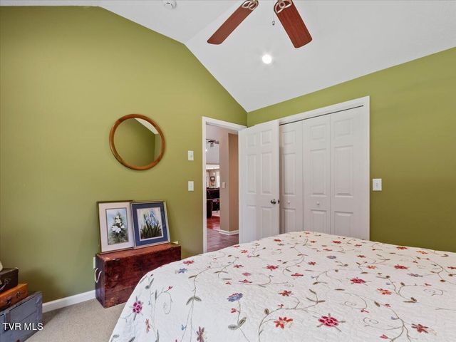309 Roan Springs Lane, Roan Mountain, TN 37687