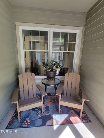 309 Roan Springs Lane, Roan Mountain, TN 37687