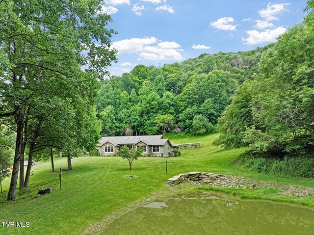 309 Roan Springs Lane, Roan Mountain, TN 37687