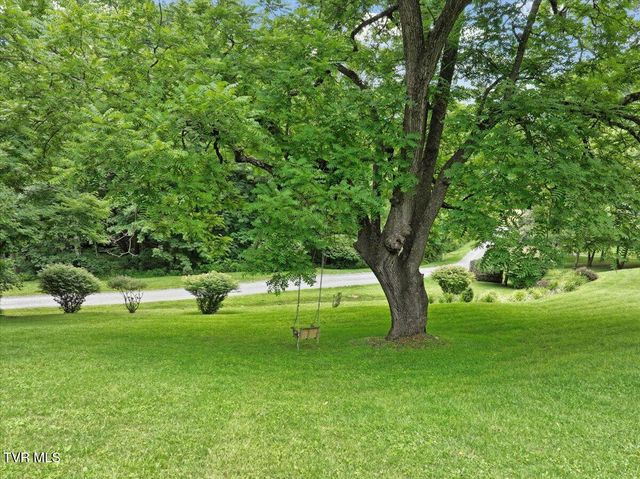 309 Roan Springs Lane, Roan Mountain, TN 37687