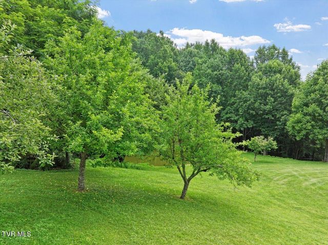 309 Roan Springs Lane, Roan Mountain, TN 37687