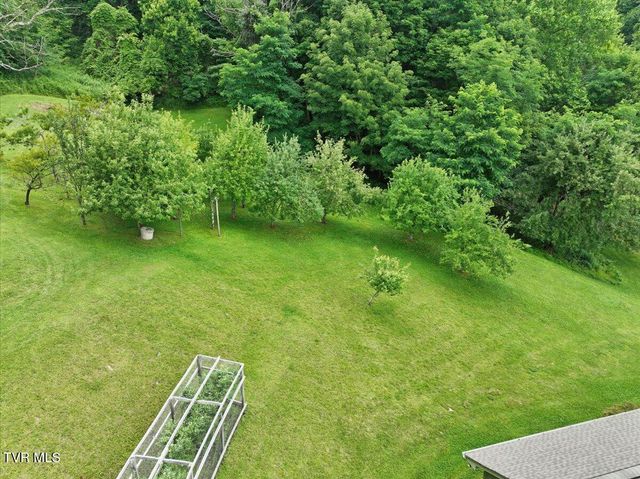 309 Roan Springs Lane, Roan Mountain, TN 37687
