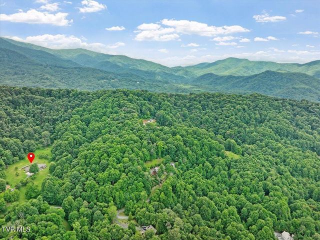 309 Roan Springs Lane, Roan Mountain, TN 37687