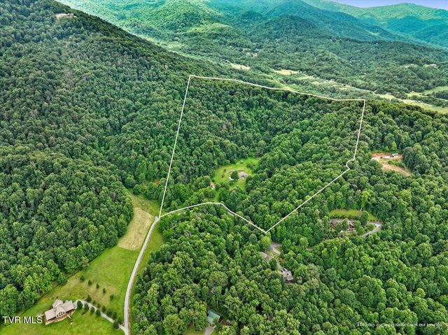 309 Roan Springs Lane, Roan Mountain, TN 37687