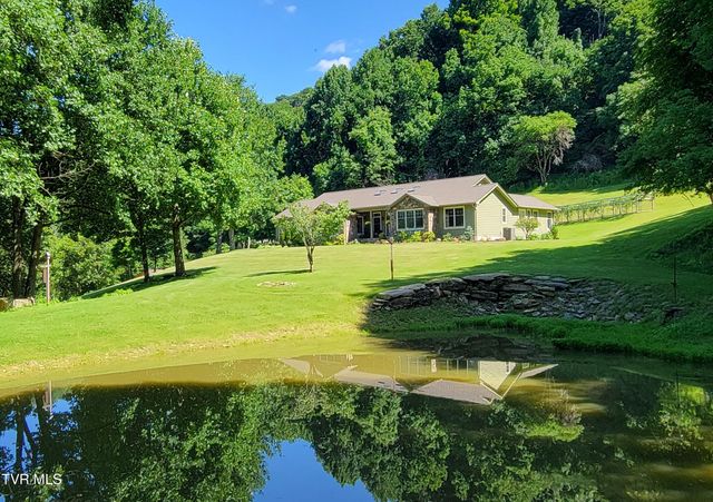 309 Roan Springs Lane, Roan Mountain, TN 37687