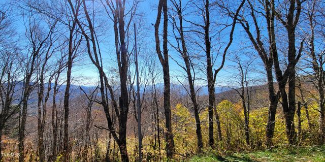 309 Roan Springs Lane, Roan Mountain, TN 37687