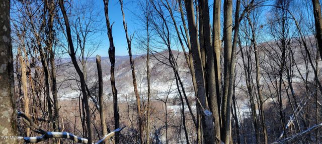 309 Roan Springs Lane, Roan Mountain, TN 37687