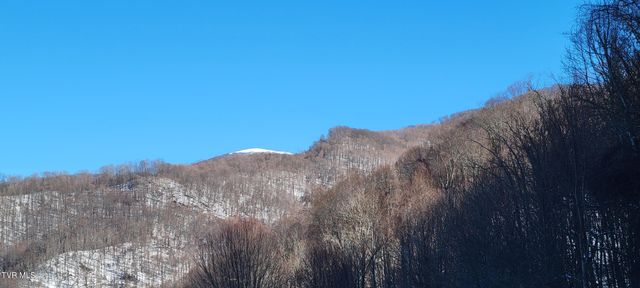 309 Roan Springs Lane, Roan Mountain, TN 37687