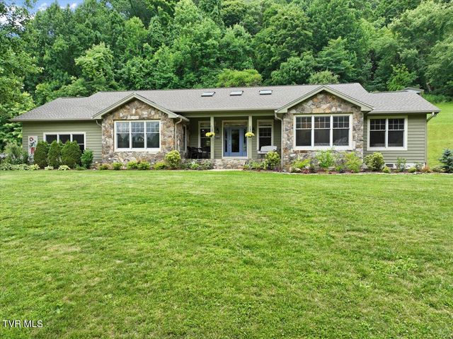 309 Roan Springs Lane, Roan Mountain, TN 37687
