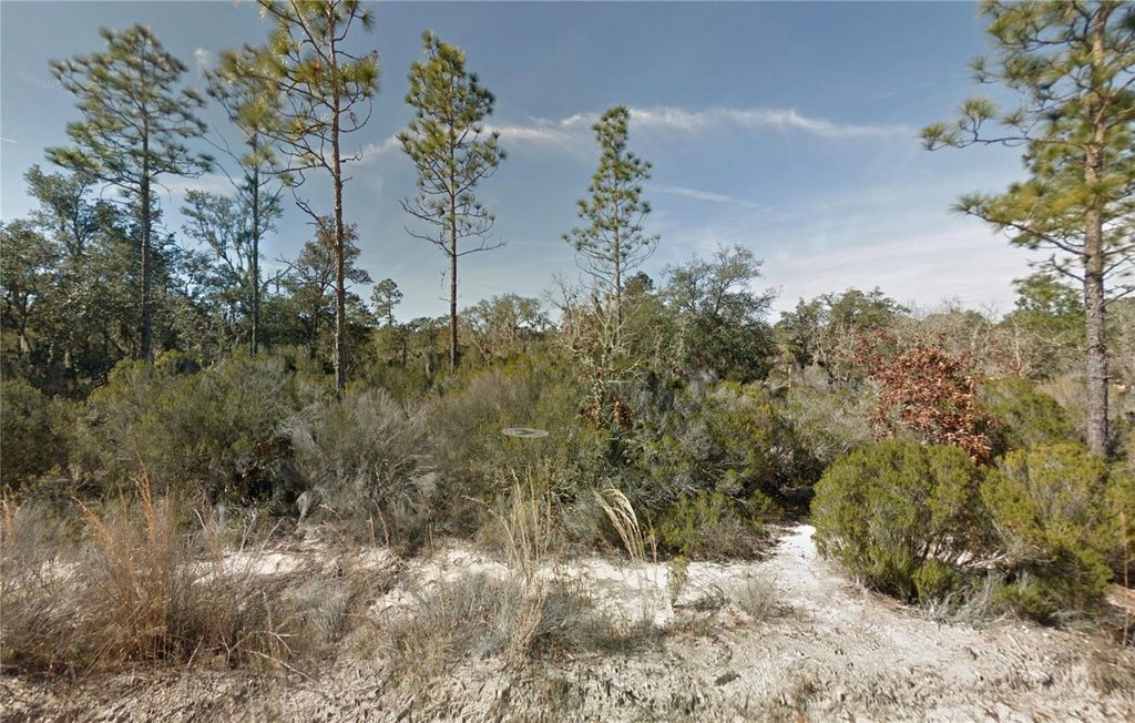 NE 100TH AVENUE, Bronson, FL 32621