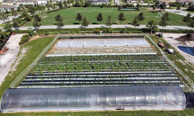 1102 Haywagon Trail, Loxahatchee, FL 33470