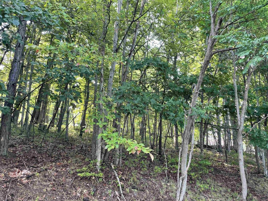 CHINQUAPIN DR, Lyndhurst, VA 22952