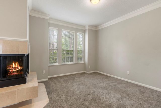 27 Stargazer Place, The Woodlands, TX 77381
