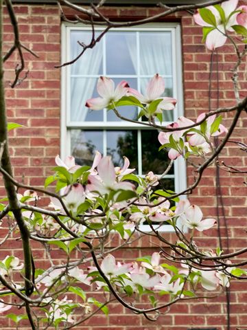 303 Stephen Road, Frankfort, KY 40601