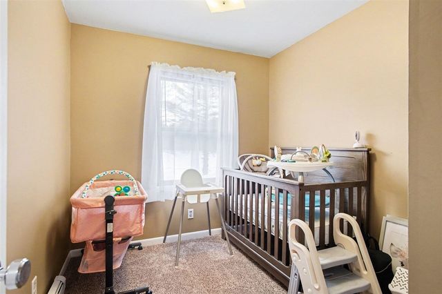 339 S Vine Street, Stanton, MI 48888