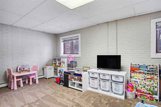 339 S Vine Street, Stanton, MI 48888