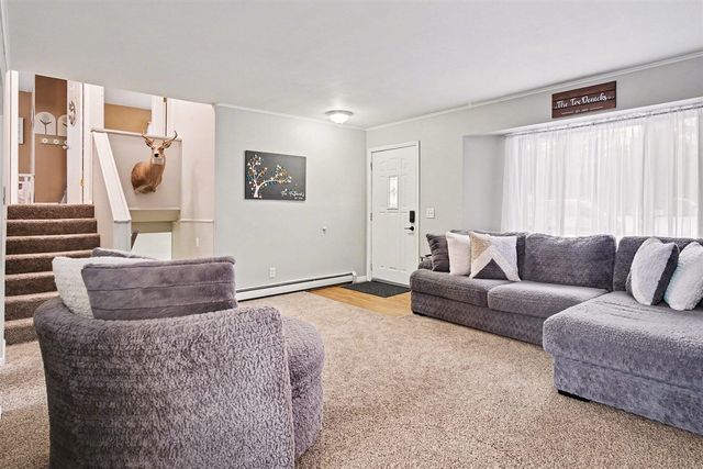 339 S Vine Street, Stanton, MI 48888