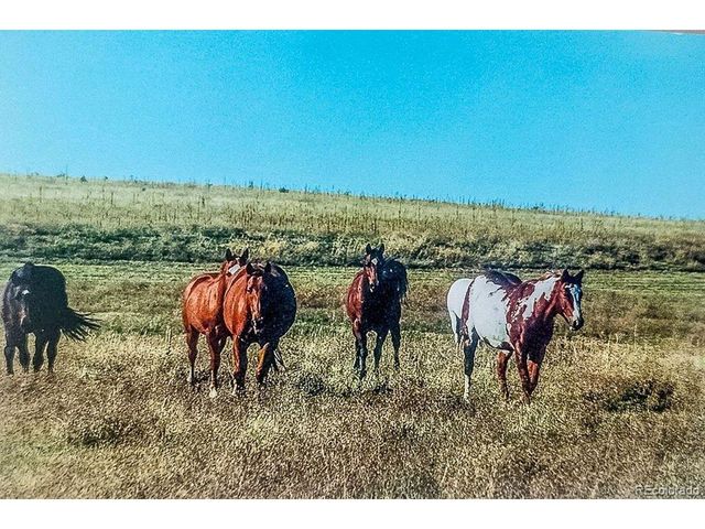 6597 S State Highway 83, Franktown, CO 80116