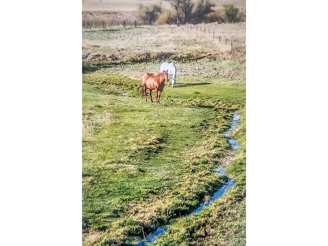 6597 S State Highway 83, Franktown, CO 80116
