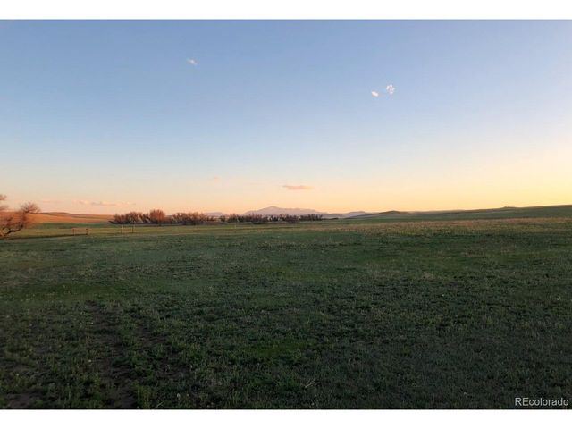 6597 S State Highway 83, Franktown, CO 80116