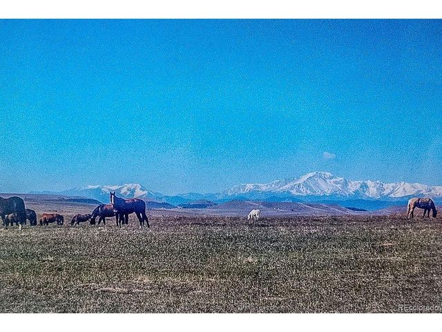 6597 S State Highway 83, Franktown, CO 80116
