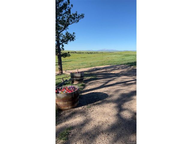 6597 S State Highway 83, Franktown, CO 80116