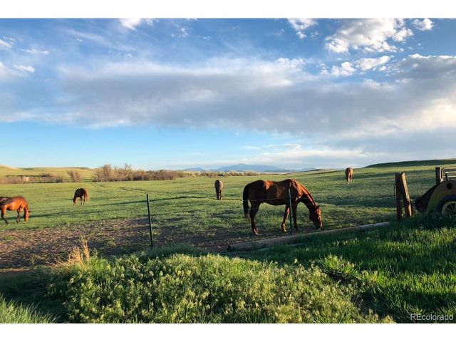 6597 S State Highway 83, Franktown, CO 80116