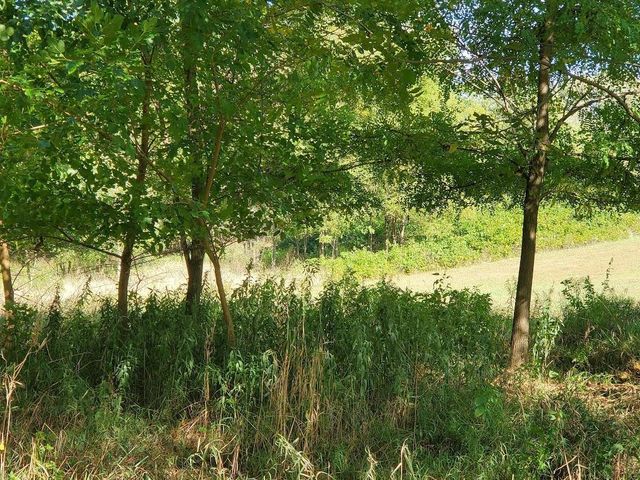 247 E MADISON STREET, Clintonville, WI 54929