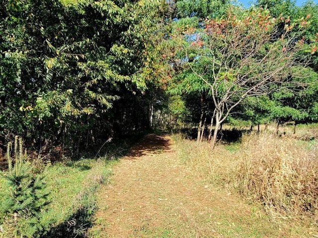 247 E MADISON STREET, Clintonville, WI 54929