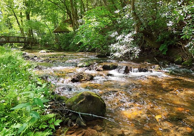 13111 Big Creek Road, Cherry Log, GA 30522
