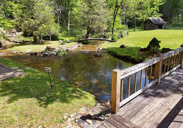 13111 Big Creek Road, Cherry Log, GA 30522