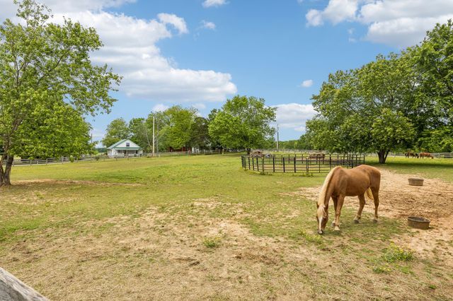 106 N Maple Ave, Ethridge, TN 38456