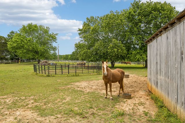 106 N Maple Ave, Ethridge, TN 38456