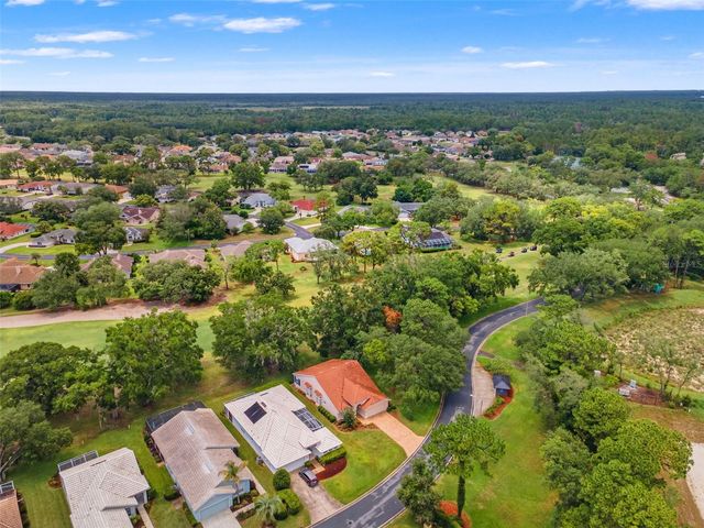 9419 NEW ORLEANS DRIVE, Weeki Wachee, FL 34613