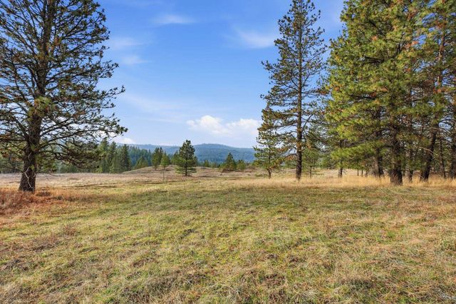 3086 E Balsam Hill Ln, Valleyford, WA 99036