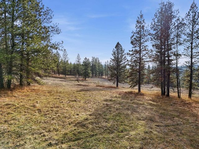 3086 E Balsam Hill Ln, Valleyford, WA 99036