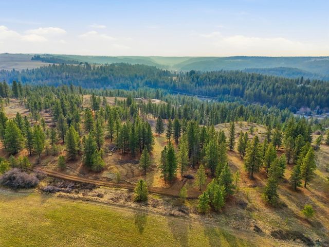 3086 E Balsam Hill Ln, Valleyford, WA 99036