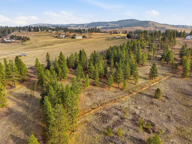3086 E Balsam Hill Ln, Valleyford, WA 99036