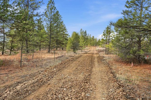 3086 E Balsam Hill Ln, Valleyford, WA 99036