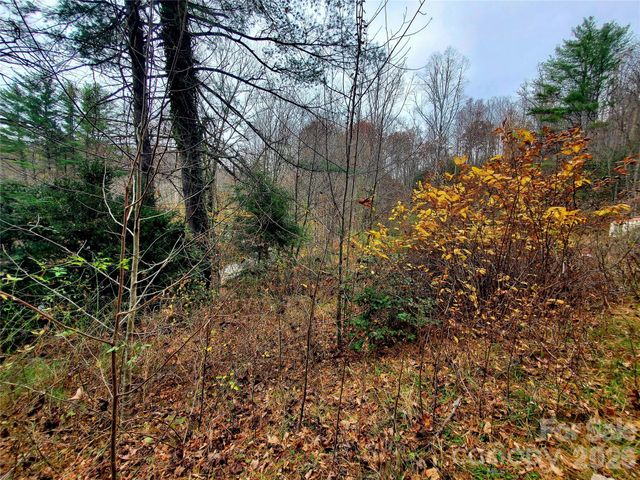 2701 Gouges Creek Road, Spruce Pine, NC 28777