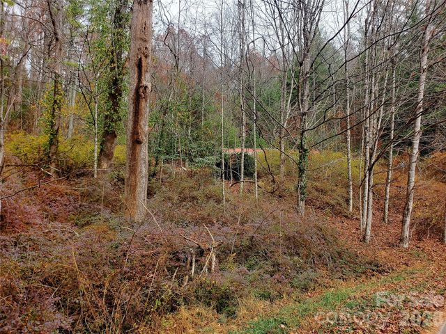2701 Gouges Creek Road, Spruce Pine, NC 28777