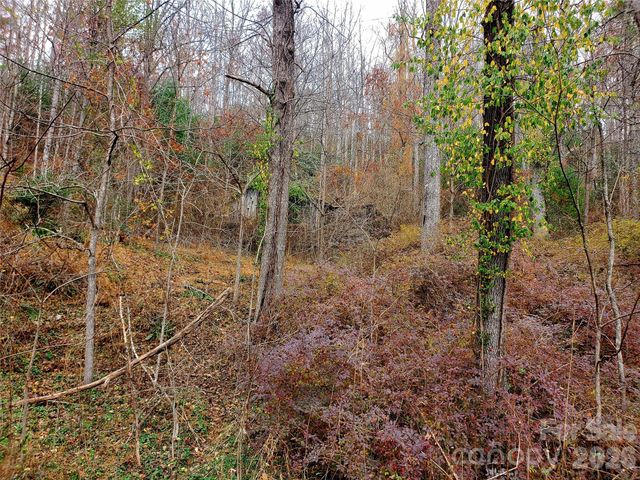 2701 Gouges Creek Road, Spruce Pine, NC 28777
