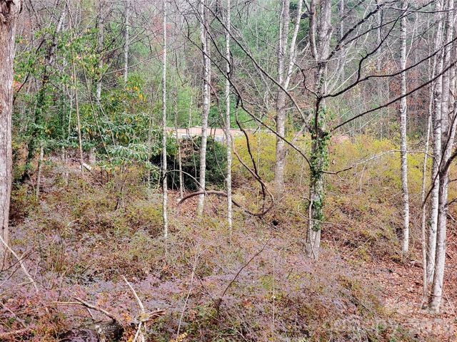 2701 Gouges Creek Road, Spruce Pine, NC 28777