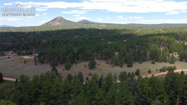 1570 Pathfinder Road, Florissant, CO 80816