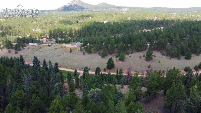 1570 Pathfinder Road, Florissant, CO 80816