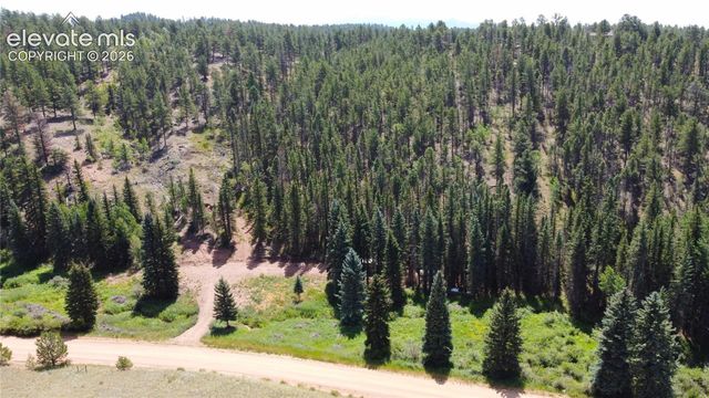 1570 Pathfinder Road, Florissant, CO 80816