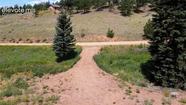 1570 Pathfinder Road, Florissant, CO 80816