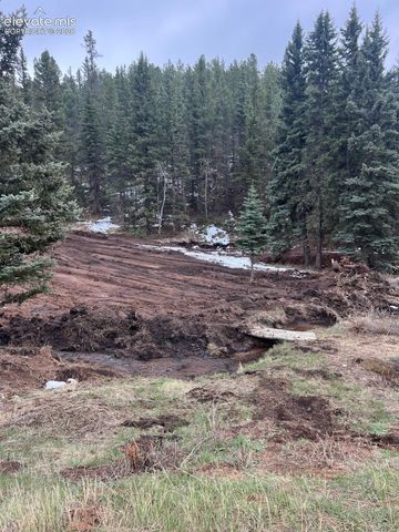 1570 Pathfinder Road, Florissant, CO 80816