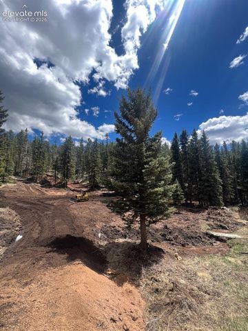 1570 Pathfinder Road, Florissant, CO 80816